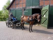 2010-05-01_0027
