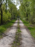 2010-05-01_0060