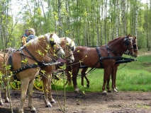 2010-05-02_0007