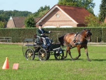 2010 09 05_E-Turnier Okel_0057
