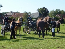 2010 09 05_E-Turnier Okel_0143