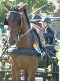 2010 09 05_E-Turnier Okel_0154