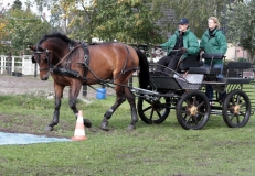 Fahrtreffen 2010 033