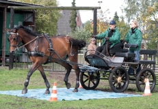 Fahrtreffen 2010 035