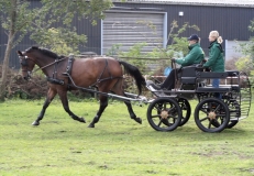 Fahrtreffen 2010 038
