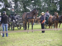 Wendt17.10.10 022