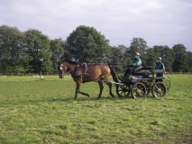Wendt17.10.10 044