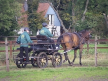 Wendt17.10.10 056