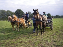Wendt17.10.10 067