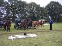Wendt17.10.10 079