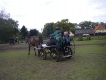 Wendt17.10.10 096