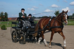 2008-09-13-Okel-E-Dressur
