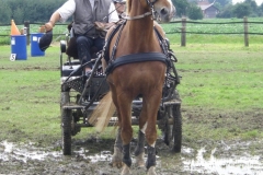 Ellenstedt 001