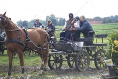 Ellenstedt 013