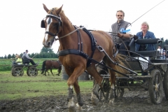 Ellenstedt 021