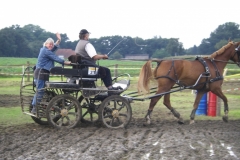 Ellenstedt 022