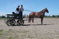 FahrtrainingTobias 056