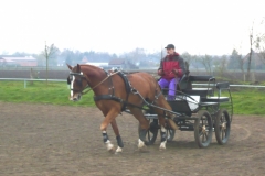 P1000042b